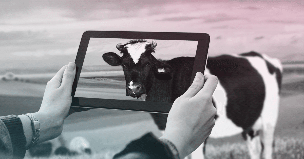 Agricultura 4.0: tendências e vantagens do uso da tecnologia na gestão agrícola