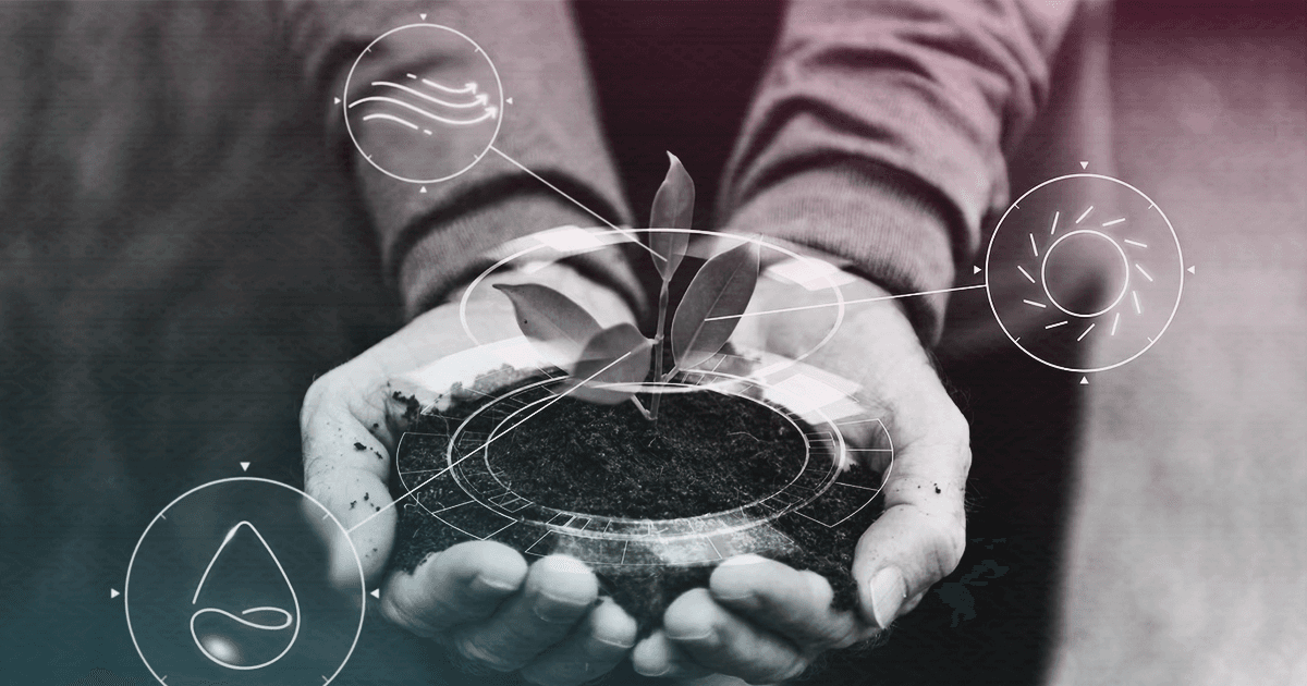 Tendências para aplicar tecnologia na agricultura