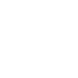 Logo Neo