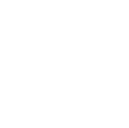 Logo Tim