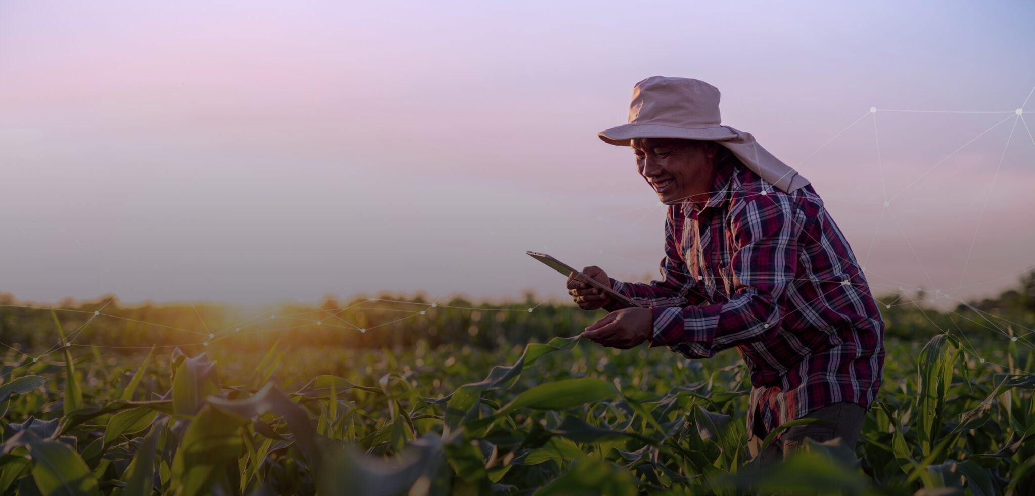 Soluções em conectividade M2M e IoT para o Agro